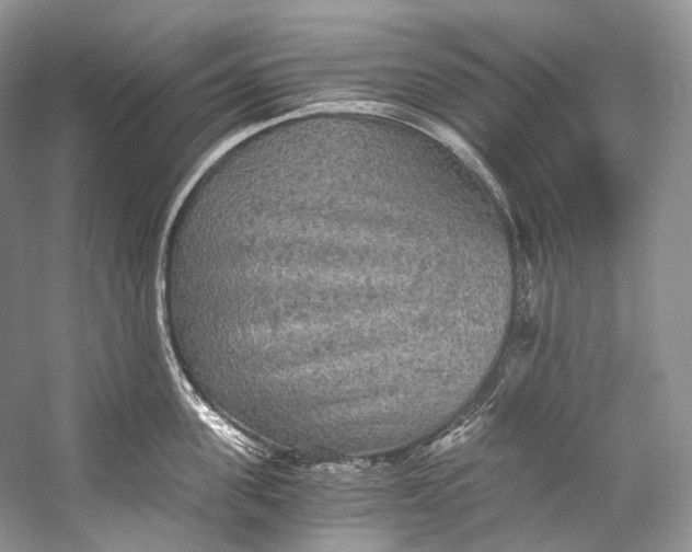 X0000058820955200510171533