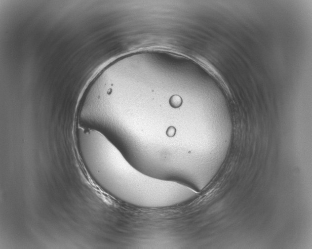 X0000058820956200510171533