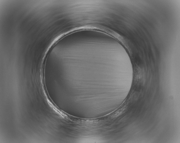 X0000058820958200510171534