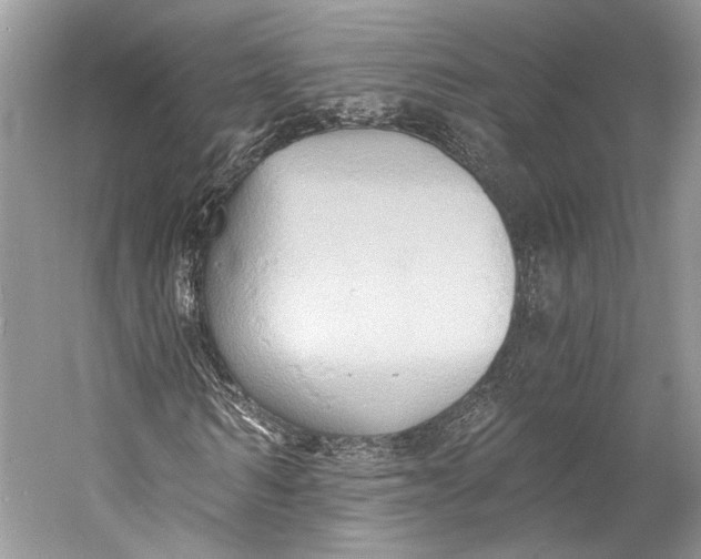 X0000058820962200510171533