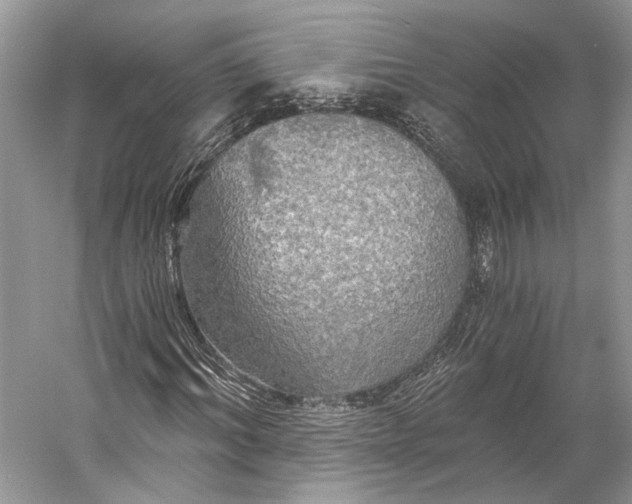 X0000058820964200510171533
