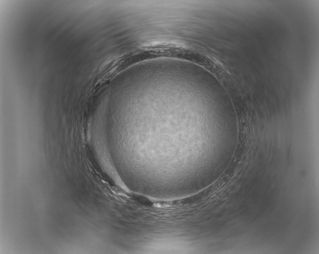 X0000058820965200510171533