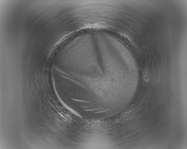 X0000058820968200510171533