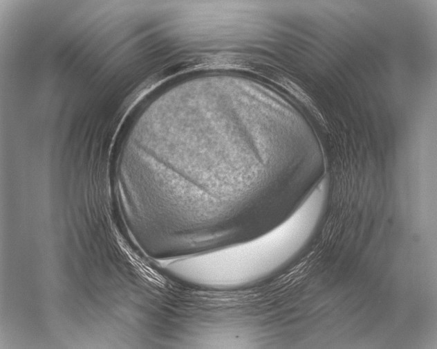 X0000058820980200510171532