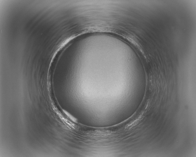 X0000058820981200510171532