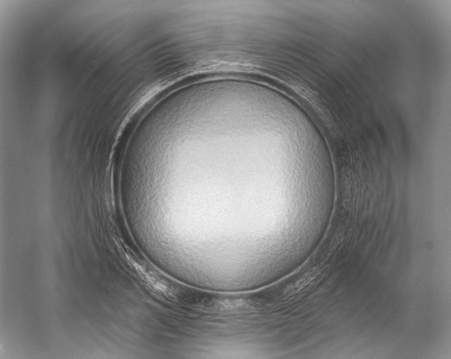 X0000058820982200510171532