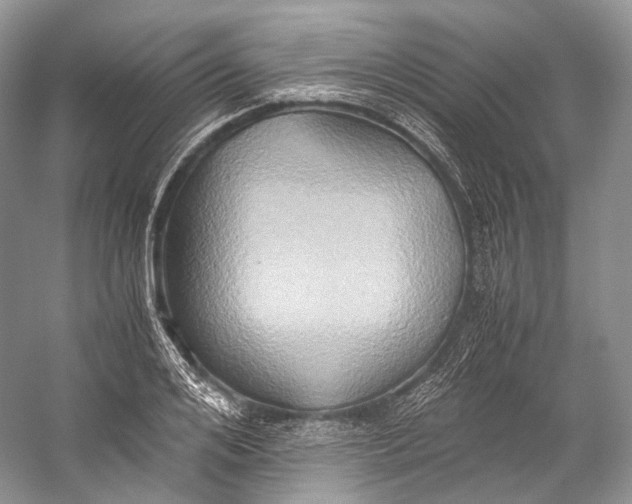 X0000058820984200510171532