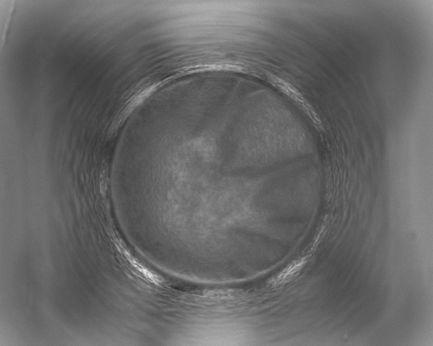 X0000058820985200510171532