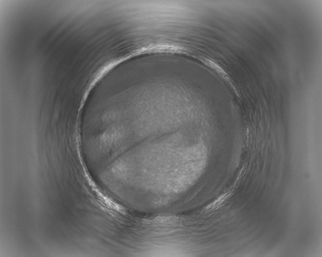 X0000058820989200510171532
