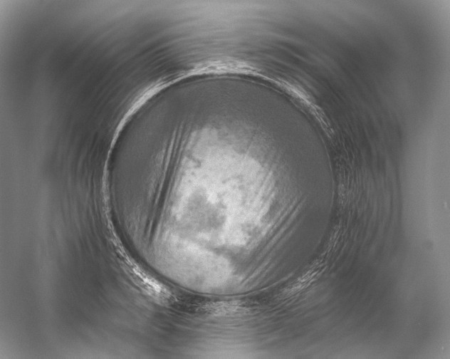 X0000058820990200510171532