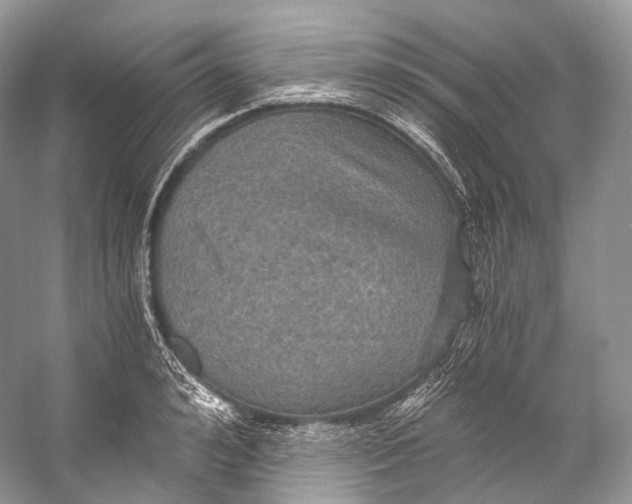 X0000058820992200510171532