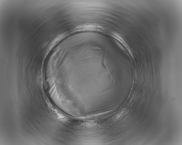 X0000058820994200510171532