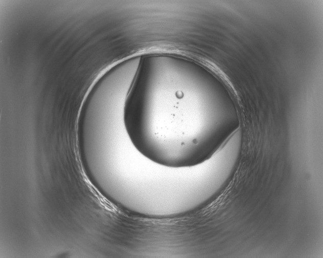 X0000058820996200510171532