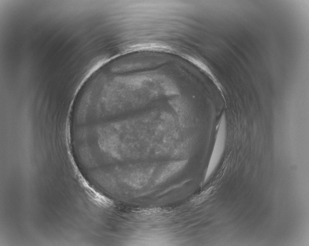 X0000058820999200510171532