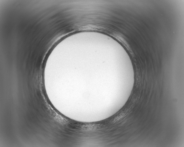 X0000058821000200510171532