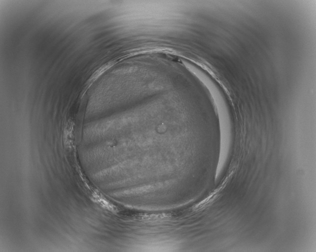 X0000058821001200510171532