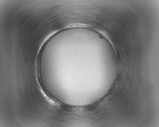 X0000058821003200510171532