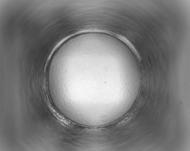 X0000058821004200510171532