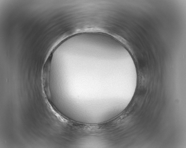 X0000058821006200510171532