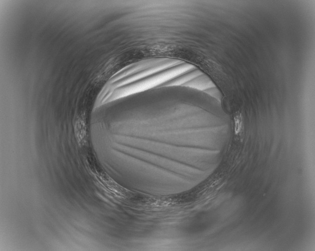 X0000058821011200510171531