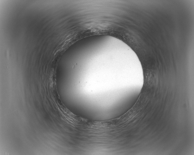X0000058821012200510171531