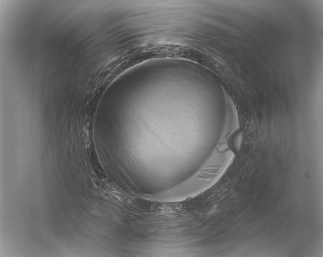 X0000058821013200510171531