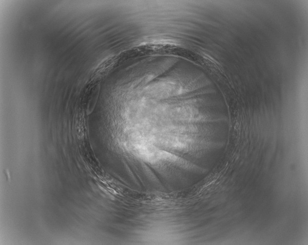 X0000058821014200510171531
