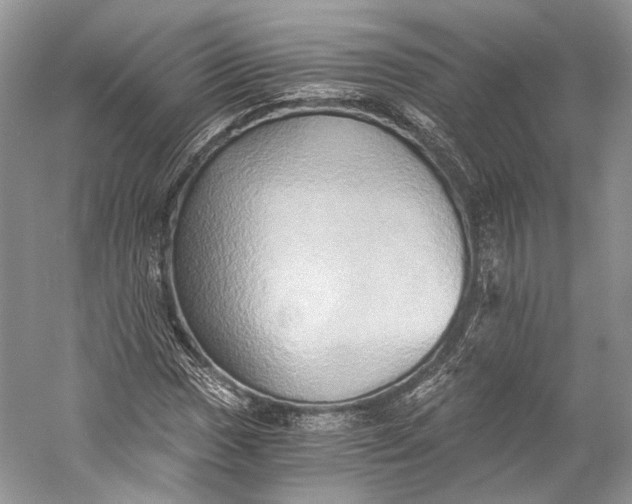 X0000058821017200510171531