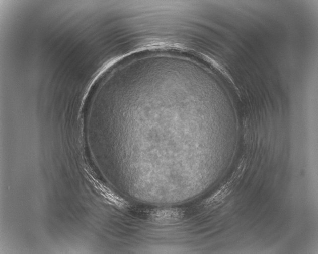 X0000058821021200510171531