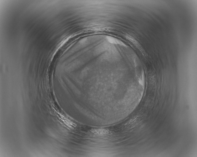 X0000058821023200510171531