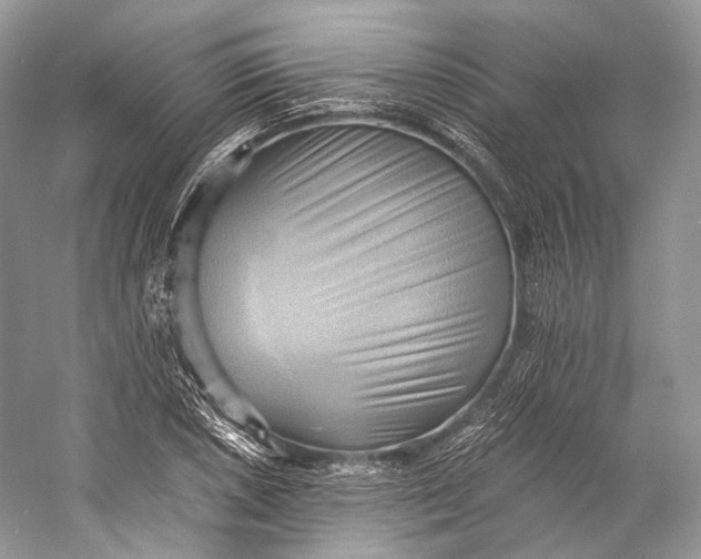 X0000058821026200510171531