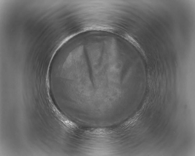 X0000058821028200510171531