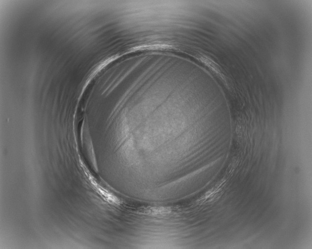 X0000058821030200510171531