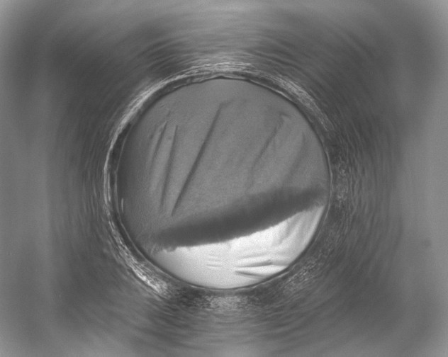 X0000058821031200510171531