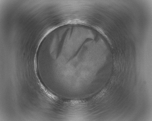 X0000058821032200510171532