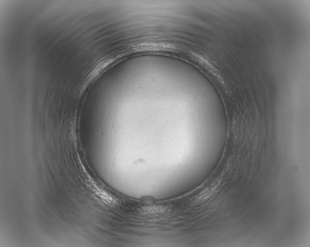 X0000058821033200510171532