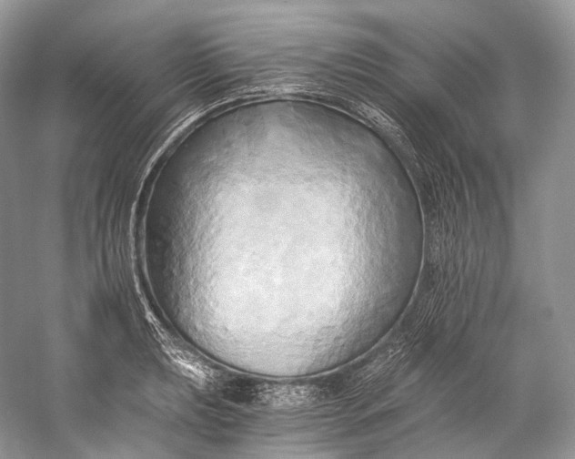 X0000058821039200510171532