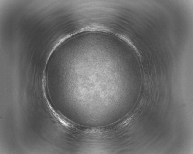 X0000058821040200510171532