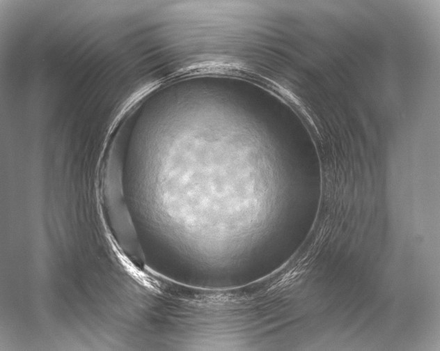 X0000058821042200510171532