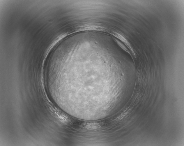 X0000058821043200510171532