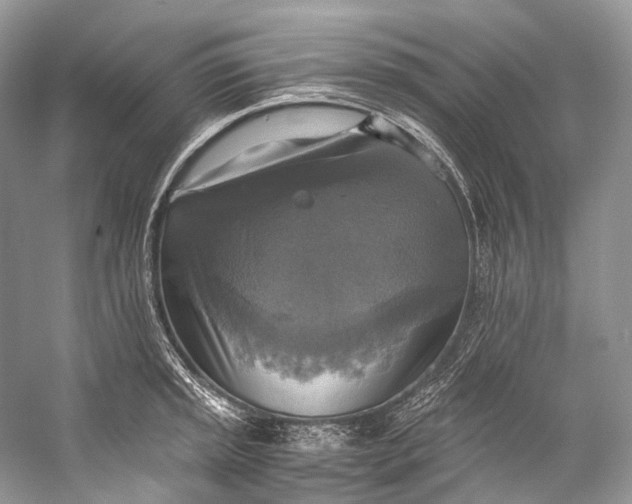 X0000058821045200510171532