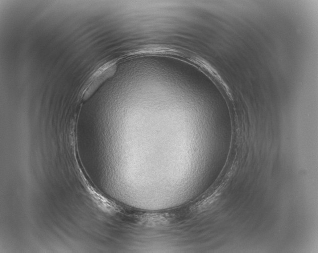 X0000058821049200510171532