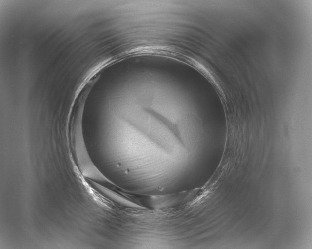 X0000058821050200510171532