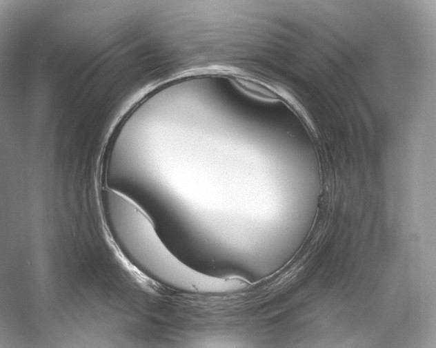 X0000058821054200510171532