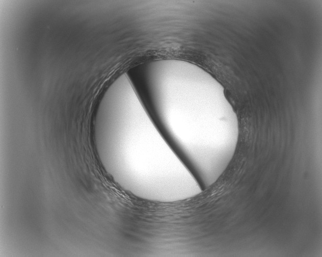 X0000058821057200510171531