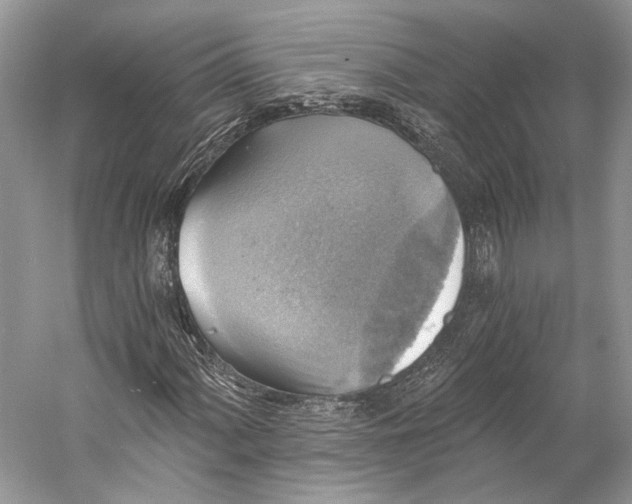 X0000058821060200510171531