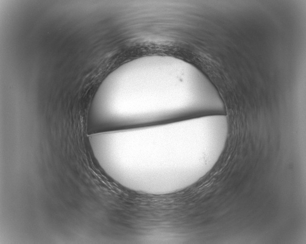 X0000058821061200510171531