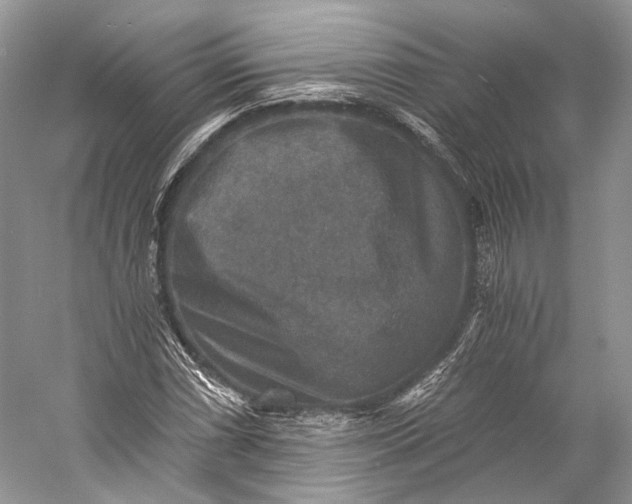 X0000058821066200510171531