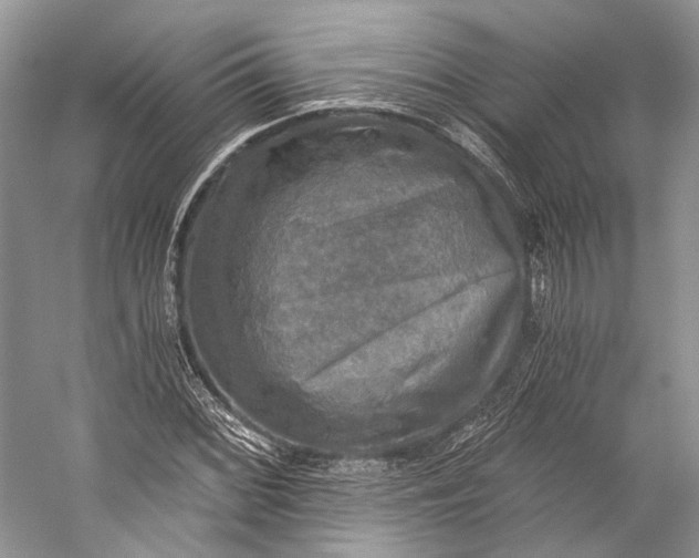 X0000058821068200510171531