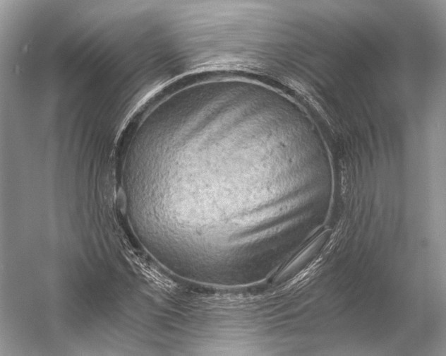 X0000058821069200510171531